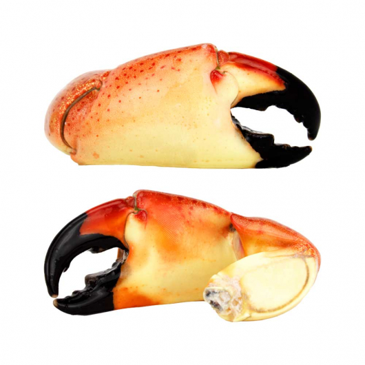 Medium Stone Crab Claws 2.1oz - 3oz