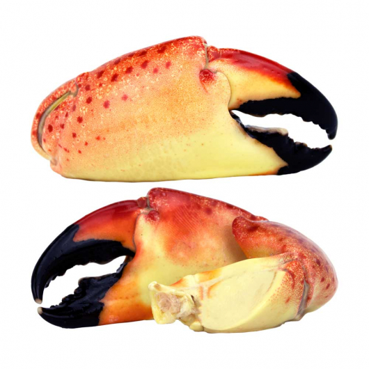 Large Stone Crab Claws 3.1oz - 4.6oz
