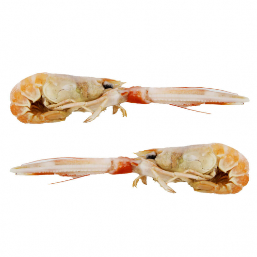 U7 Langoustines