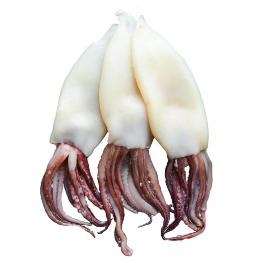 Squid Tubes & Tentacles 2"-4"