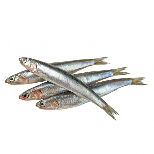 Raw Whole White Anchovies