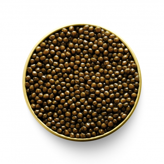 Kaluga Black Caviar