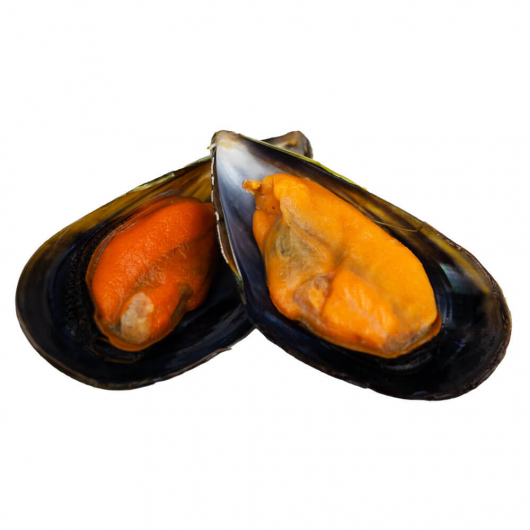 Cooked Galician Mussels Half Shell