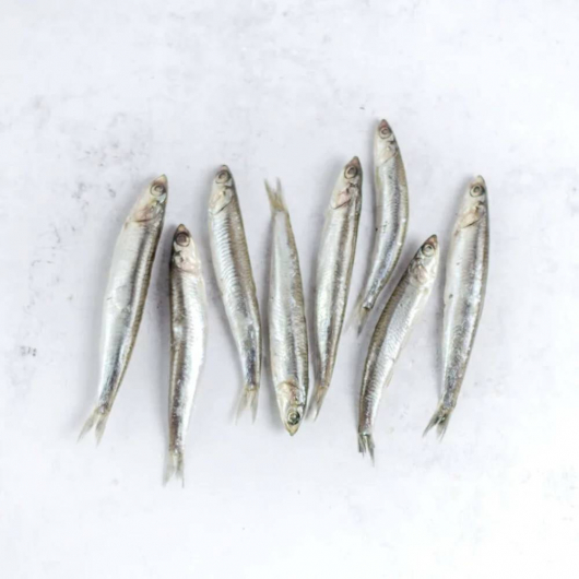 White Whole Anchovies