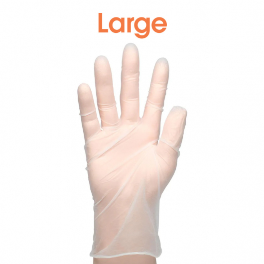 Large Vinyl Powder Free