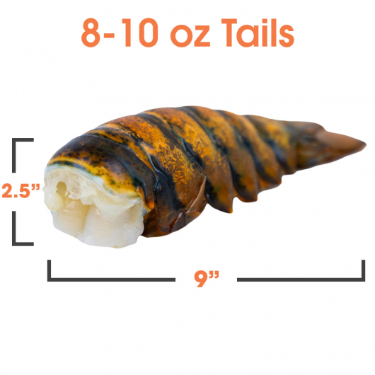 Raw Lobster Tails - 8-10 oz - Nova Scotia