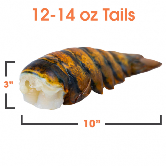 Raw Lobster Tails - 12-14 oz - Nova Scotia