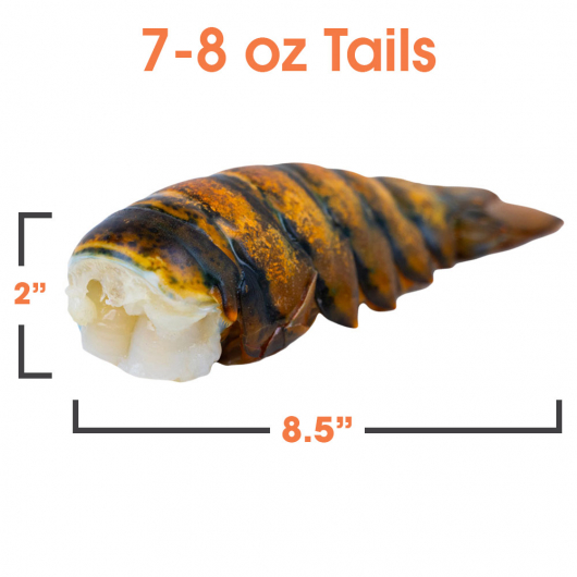 Raw Lobster Tails - 7-8 oz - Nova Scotia