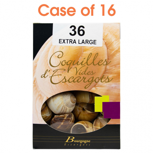 Burgundy Snail Shells - Extra Large 36 ct - Case of 16
