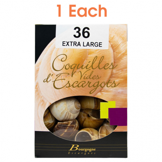 Burgundy Snail Shells - Extra Large 36 ct - 1 Each