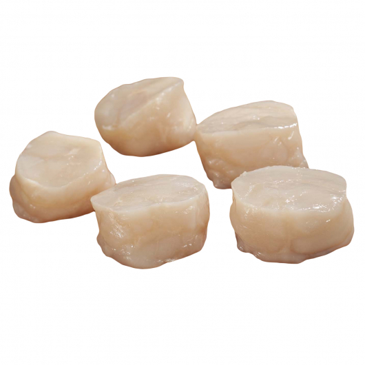 Scallop Medallions