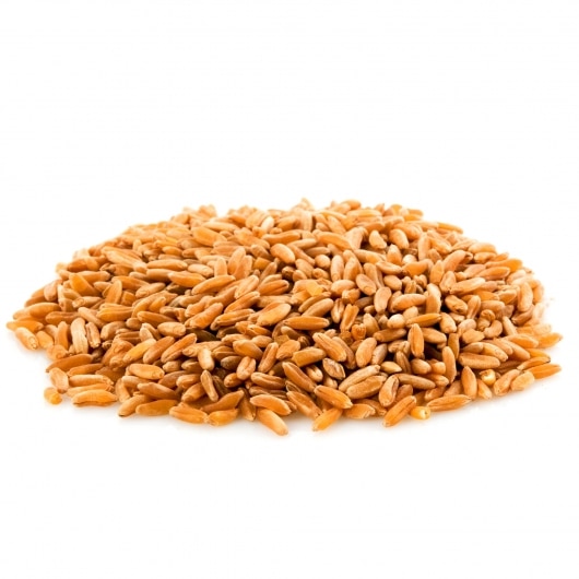 Kamut Wheat Organic