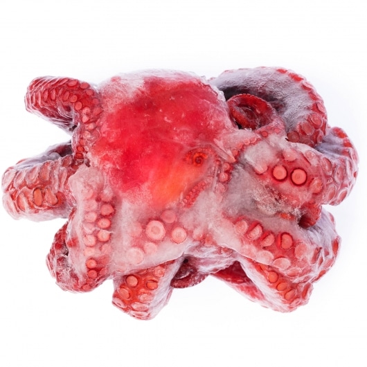 Octopus - Pre Tenderized