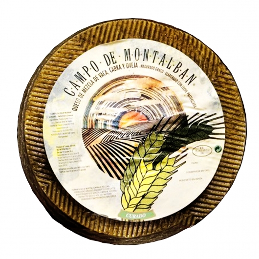Campo de Montalban 100 day
