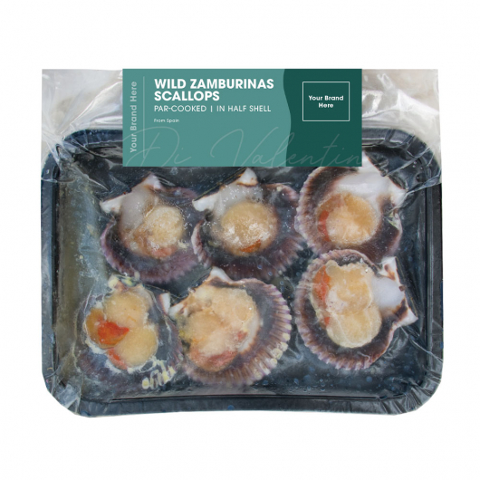 Retail Packed Zamburinas Scallops in Half Shell