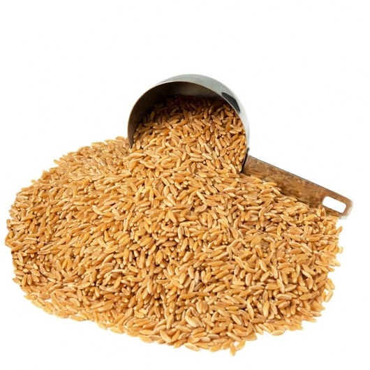 Kamut Wheat