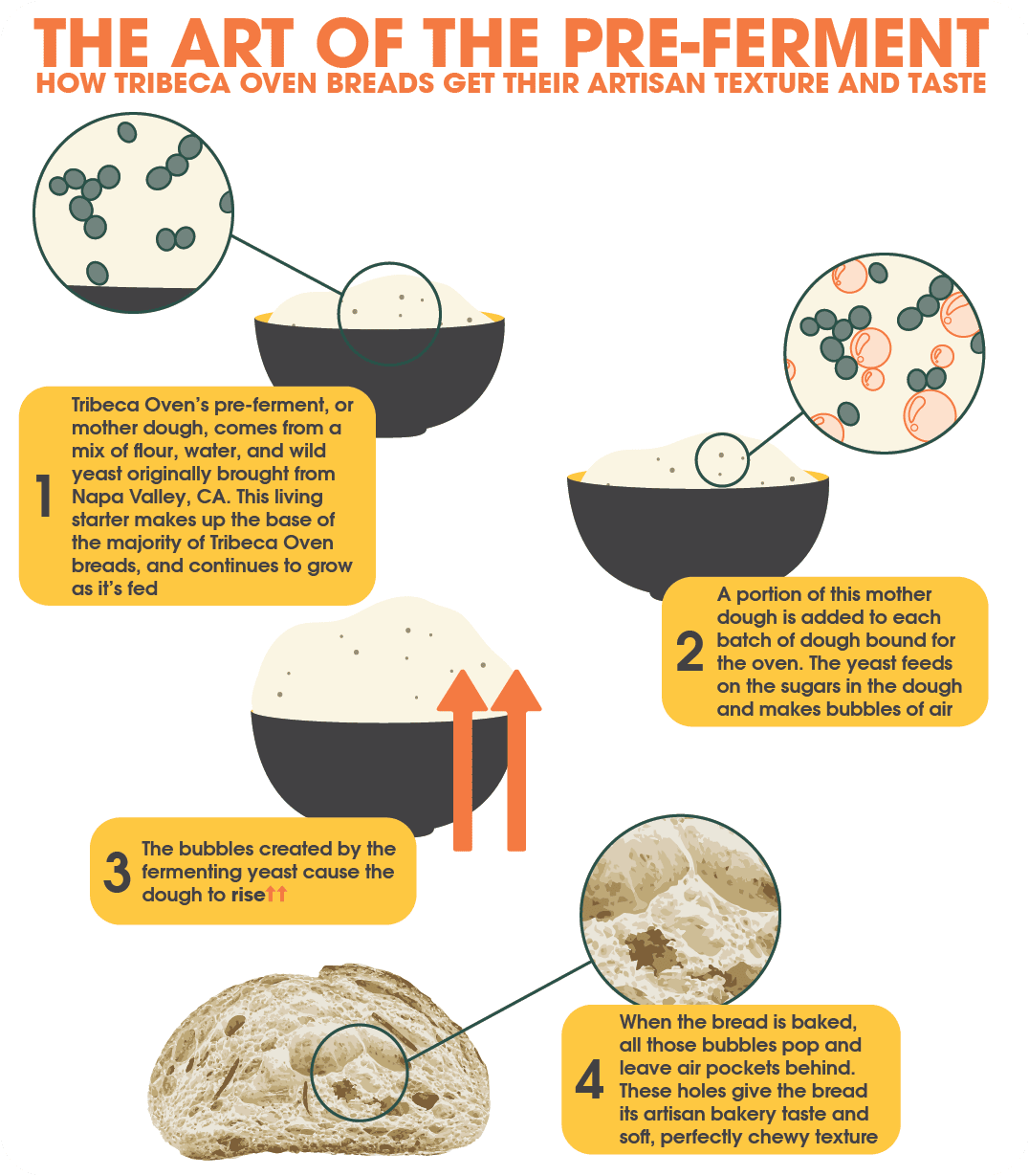 Tribeca Oven Infographic About Pre-Fermenting