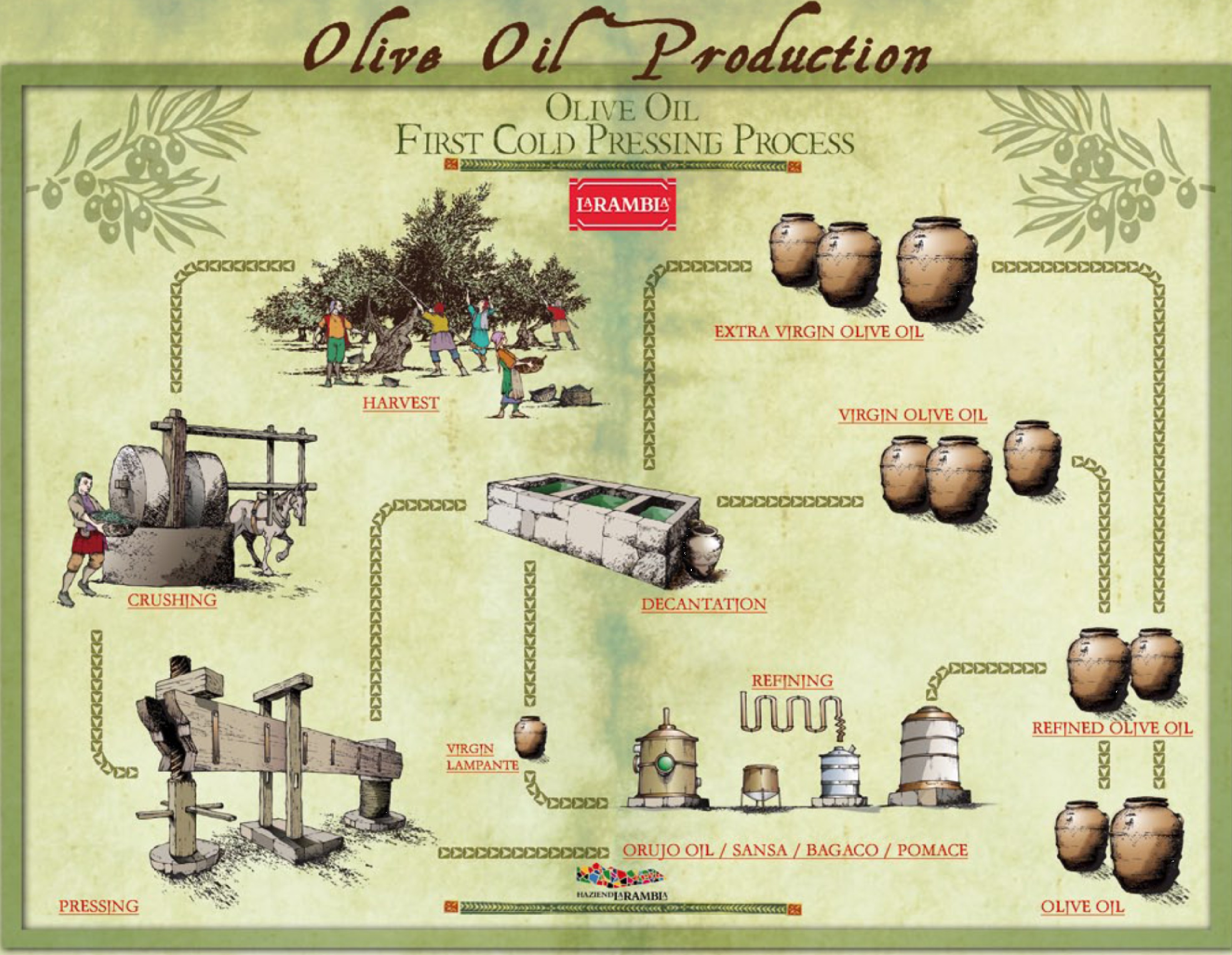 Olive, Description, Production, & Oil